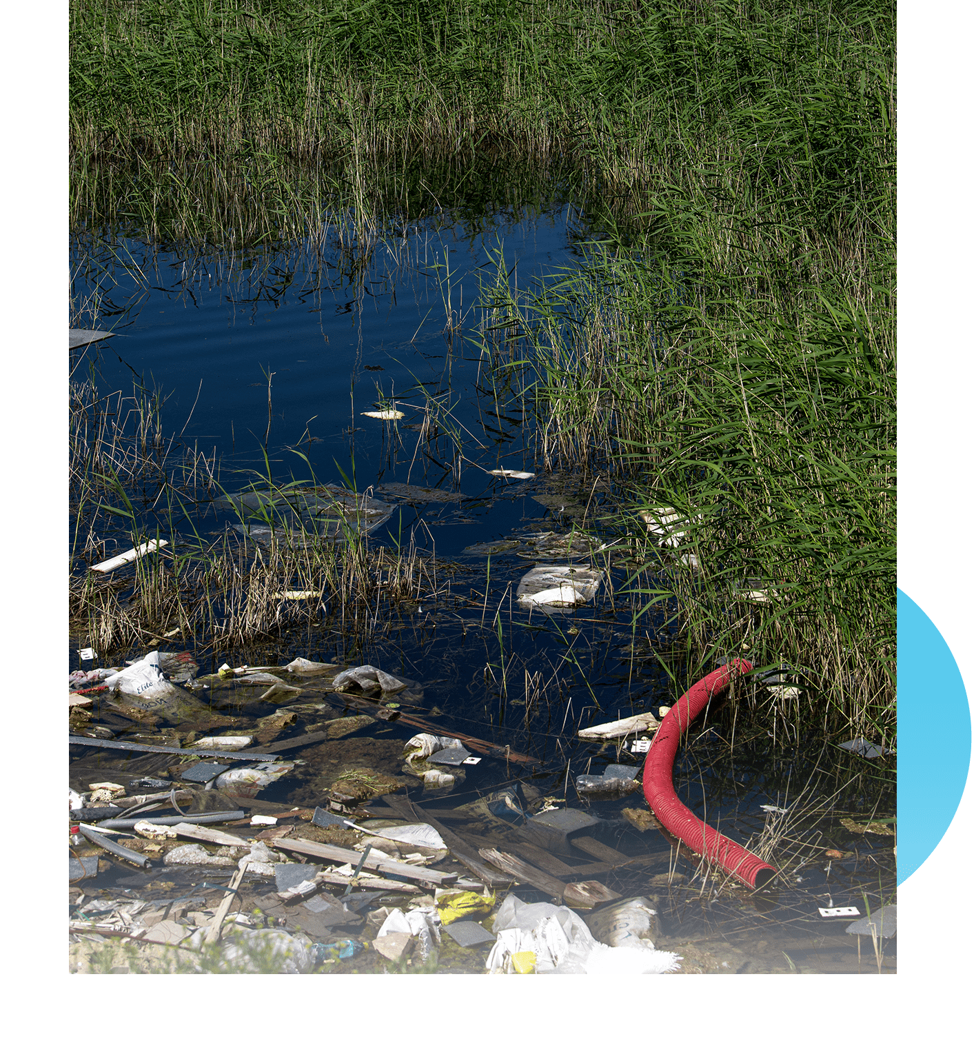 garbage in river