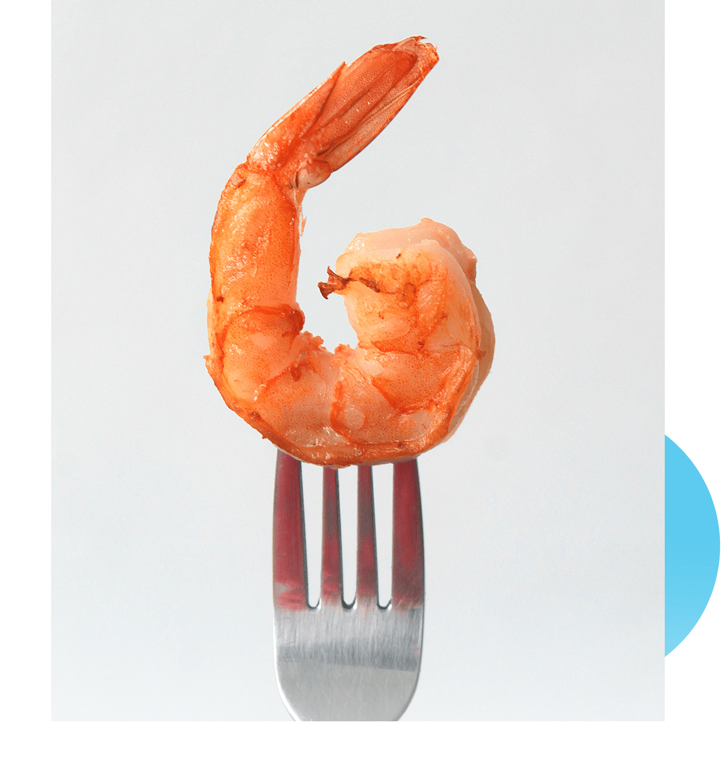 shrimp on fork