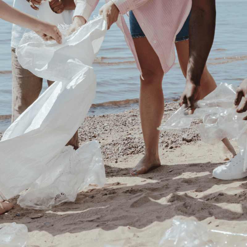 Community on beaches