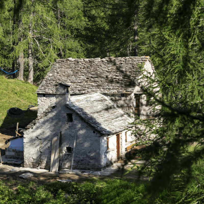 A House with poor water system