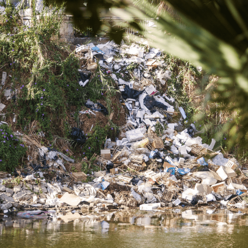 accumulation of plastic in waterways
