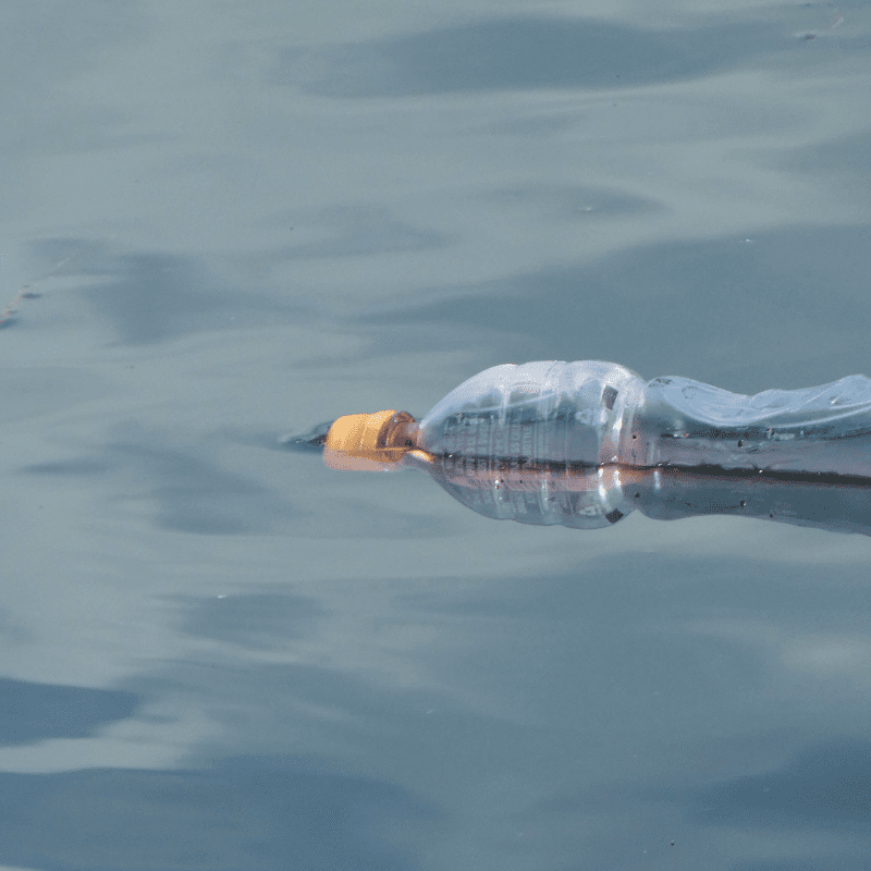 plastic bottle floating in water