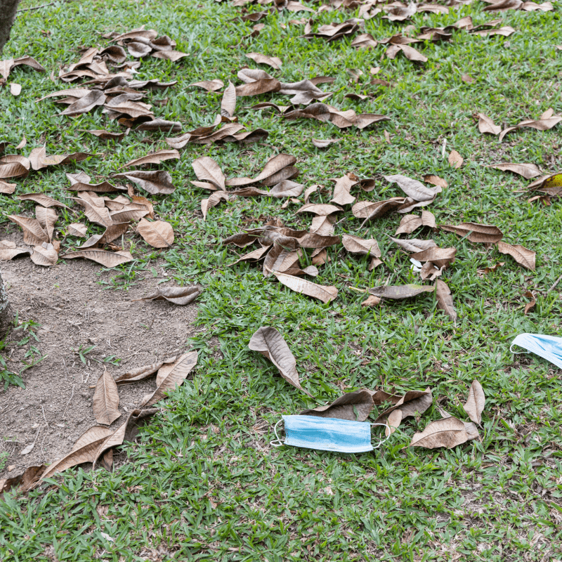plastic bottles lying on the ground