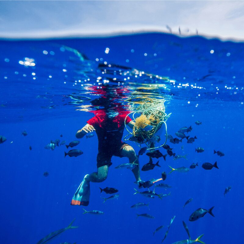 man swimming in ocean with plastic waste and fish